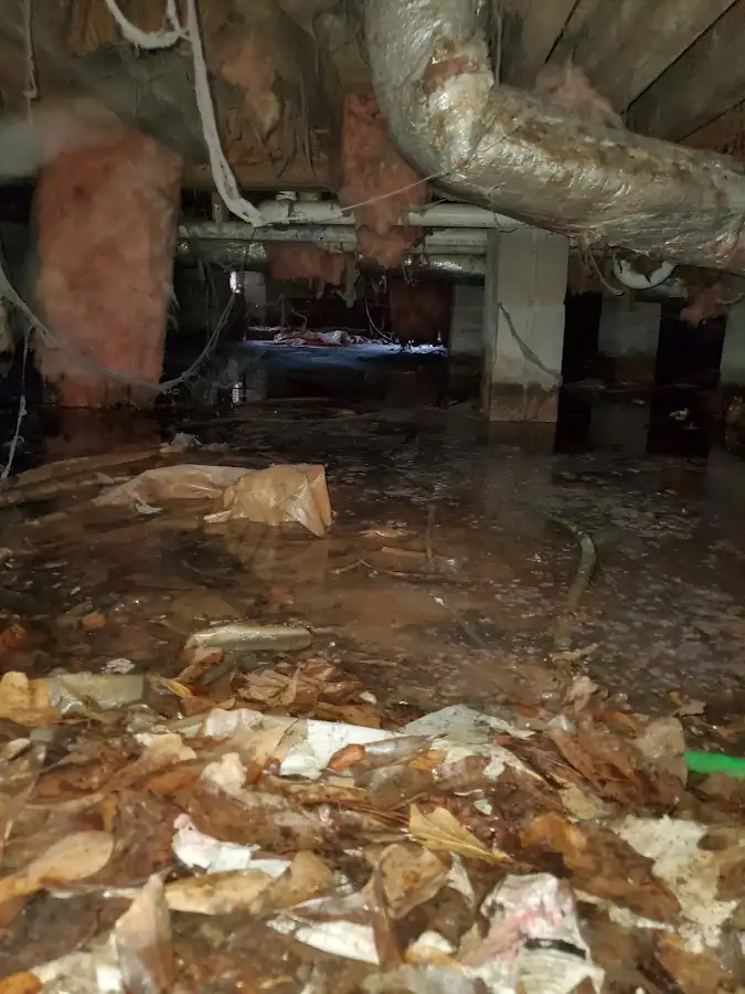 Crawl space flood assessment for Leak Detection & Repair in Alabaster