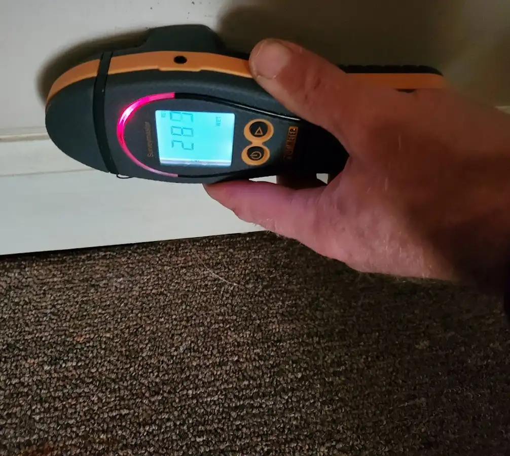 Moisture detection at baseboard during Burst Pipe Cleanup in Alabaster